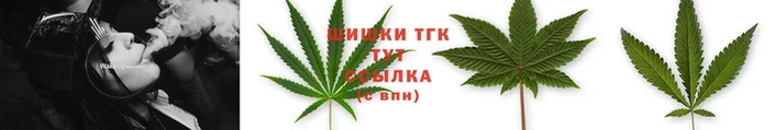 PSILOCYBIN Абдулино