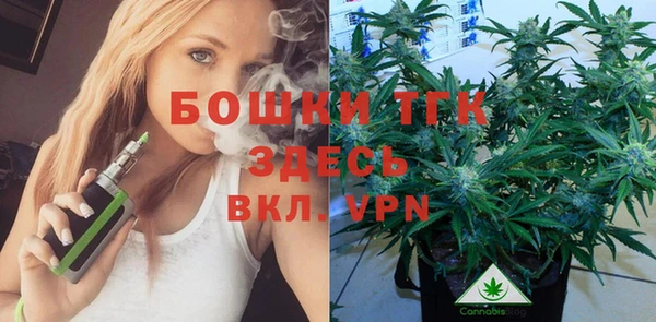 тгк Абинск