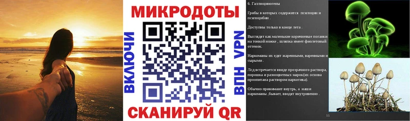 гидра как зайти  Красный Сулин  Псилоцибиновые грибы мицелий  закладка 