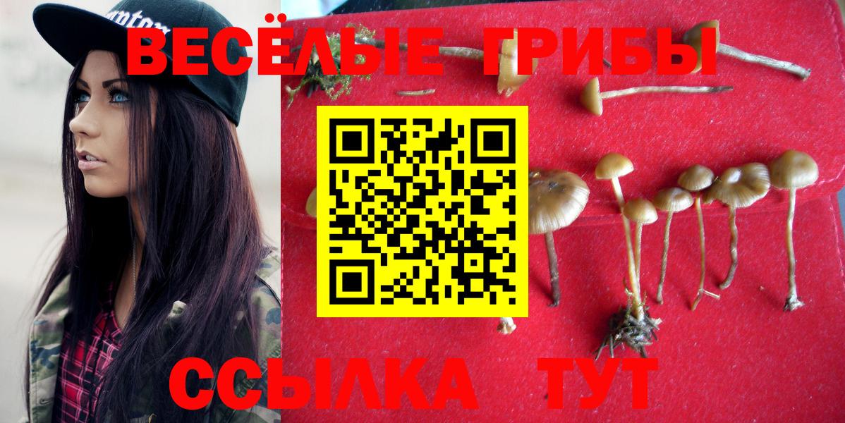 Псилоцибиновые грибы Magic Shrooms  Галлюциногенные грибы Magic Shrooms  Вход с VPN  Красный Сулин 